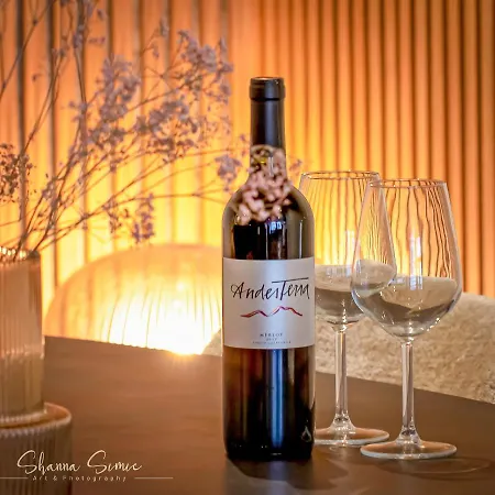 Daire Boutique By Urban Alkmaar